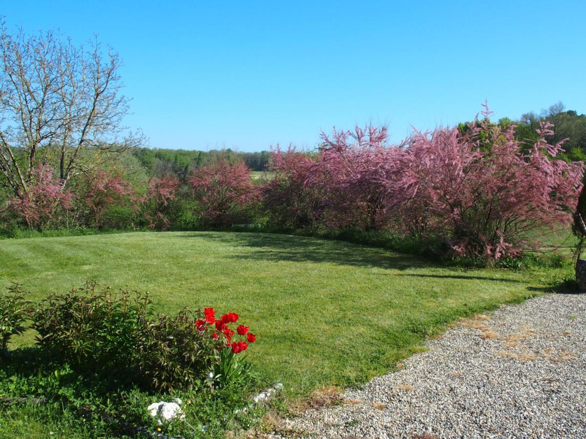 Bed and Breakfast Les Tamaris Castelnau-sur-Gupie Exterior foto